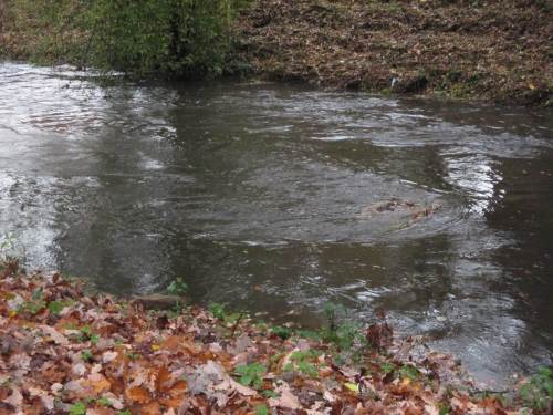Große Steine, inzwischen alle überströmt, beleben das Strömungsbild.