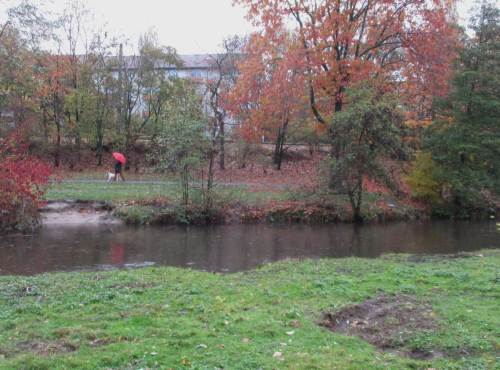 Am anderen Ufer ein Erosionshang, Zeichen hohen Besucher- und Nutzungsdrucks.
