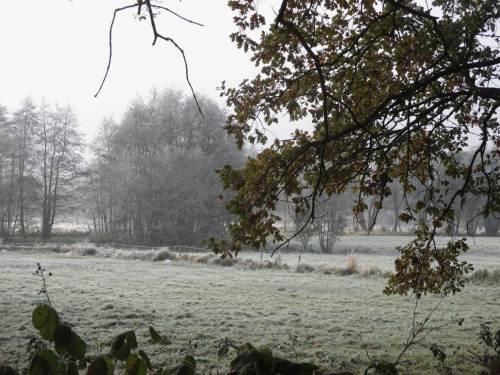 Puh, kalt - "wind chill" - ich erreiche das Wedeler Autal.