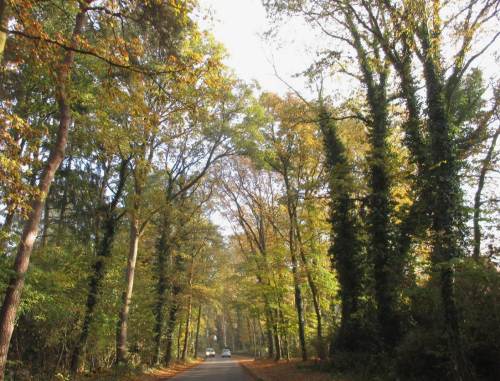 Das Norddeutsche Tiefland ist nicht überall flach. Immer "bergan" geht es Richtung Treffpunkt, die Sonne durchbricht den Hochnebel.