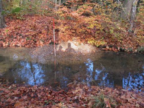 Auf diese Einengung mit Laichplatz-Charakter kann noch depotartig weiterer Kies platziert werden. Wenn es dem Bach "zu viel" ist, wird er es bei höheren Abflüssen an geeignetere Plätze verwirbeln.