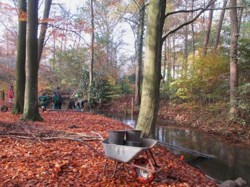 Alle sind eifrig, Verpflegung wartet seitwärts auf geeigneter Fläche.