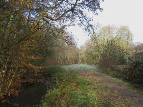 Angekommen, Blick bachaufwärts - hier wird im Frühjahr 2017 eine größere Baumaßnahme mit Bagger das Bachumfeld verbessern, auch Hochwasserrückhalt schaffen.