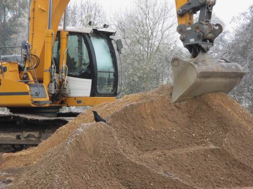Eine Rabenkrähe begutachtet Baumaterial und -gerät für die Wegeverbesserung im Autal - war wohl in einem früheren Leben ein Tiefbau-Ingenieur.