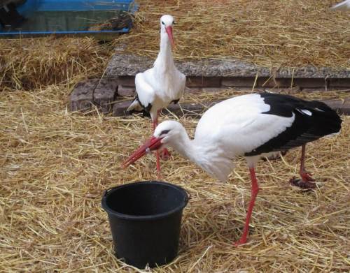 Fisch und anderes - was will man mehr.