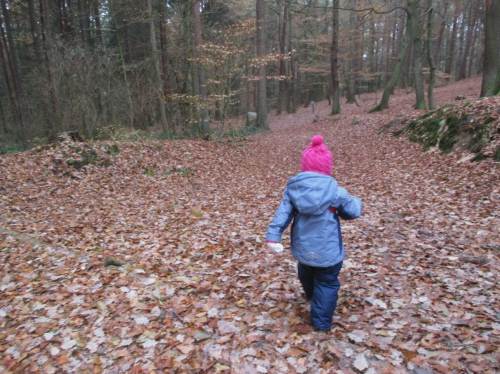 Bewegung an frischer Luft - munter den Moränenhang durch raschelndes Laub hinunter.