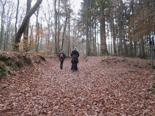 Und anschliessend wieder rauf.