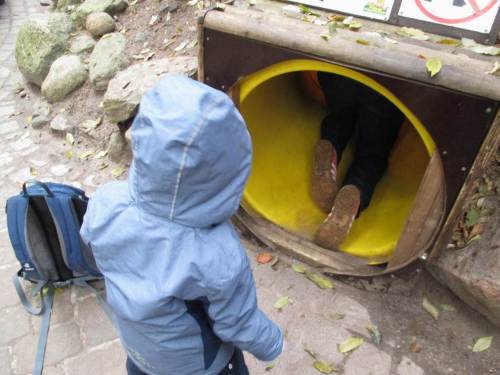 Ein Lockvogel lockt ...