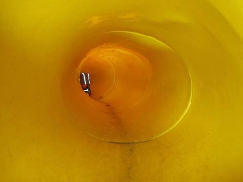 Und, nach Kaninchen-Betrachten, wieder zurück.