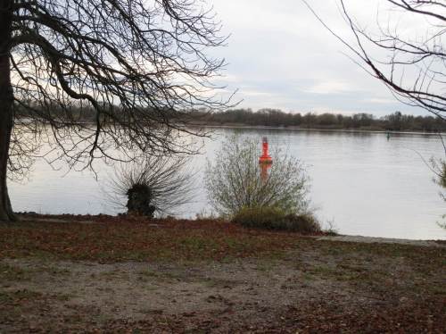 Rote Fahrwassertonne - oha! dicht vor Land. Fast fürchtet man angesichts des seeschifftiefen Wassers, dass der Elbhang gelegentlich in die Fahrrinne abrutscht.