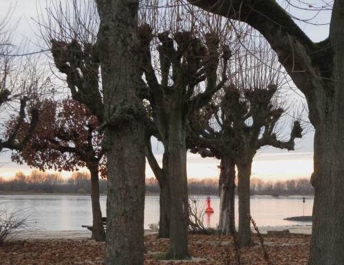 Ein anderer Anblick, aber keine andere Situation der Fahrwassertonnen hier vor dem nördlichen Elbufer.