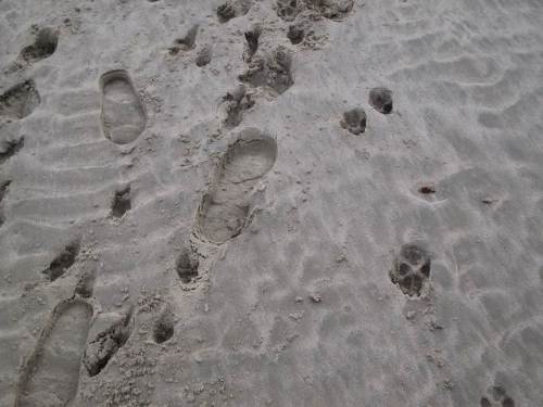 Ein Bisschen fluffig ist das Ganze ja zum Teil.