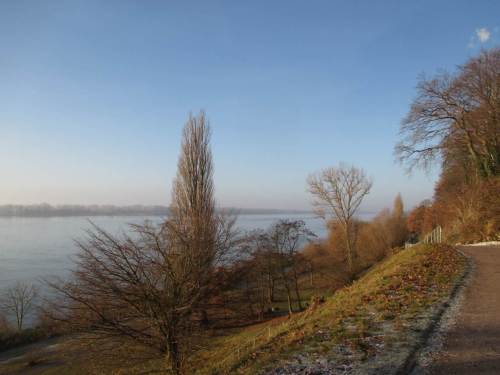 Schnell taut der Elbhang in noch tief stehender Morgensonne ab.
