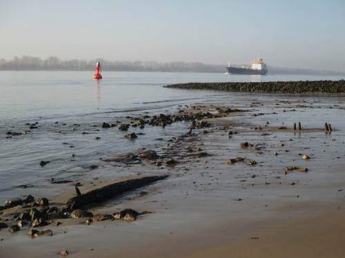 Wittenbergen - Fahrwassertonne, Strand-Erosion.