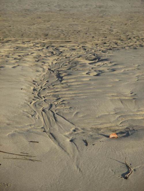 Strand Wittenbergen, kleine Hydraulikstudie.