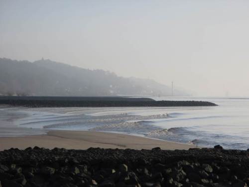 Spiegelglatte Elbe mit kleinen Schifffahrtswellen vor Elbhang Blankenese.