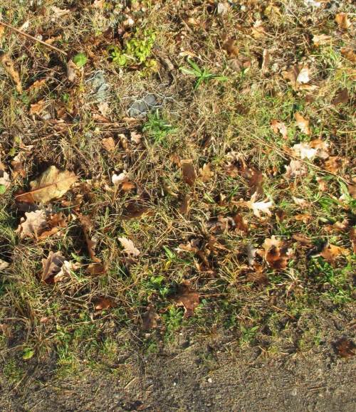 Der Zahn der Zeit bringt es an den Tag. Steine und Drahtgeflecht kosten fortan des Steuerzahlers Geld.