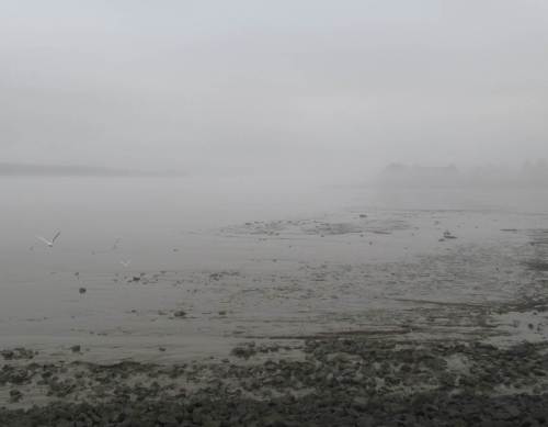 Auch an der Badebucht zeigen sich daher selten sichtbare Strukturen.