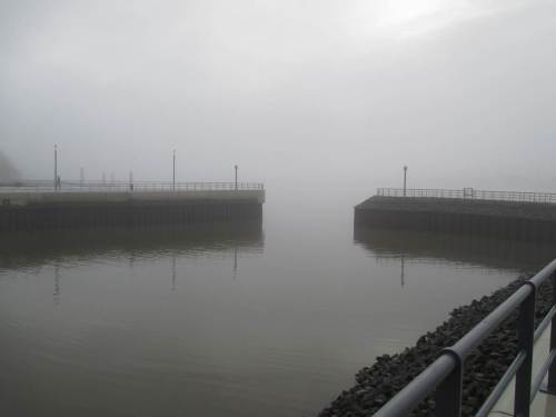 Zur Elbe hin lässt sich über dem Morgennebel fast die Sonne erahnen.