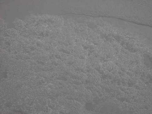 Ebbe am Kenterpunkt - Tiefer als normal, so fiel im Hafen Schlick frei. Feinstrukturen.