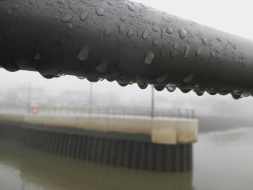 Nachts hat es ordentlich geregnet - war mal wieder Zeit! Die Nässe hier könnte von kondensierter Nebelfeuchte stammen.