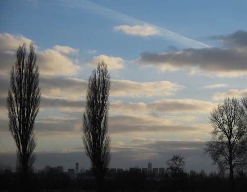 Die CMA Bougainville hat die Mündung der Wedeler Au westwärts passiert. Aufnahme des Profils von binnendeichs.