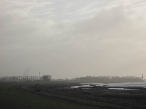 Auf dem Deich angekommen. Die Elbe ist während der Ebbe nur zur Hälfte abgeflossen, reichlich Wasser auf dem Süßwasserwatt.