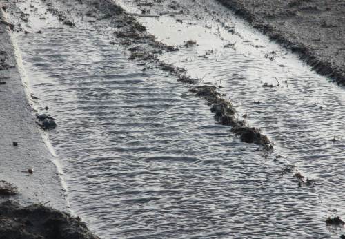 Sturm im Wasserglas? Nein, in einer Fahrspur neben der Deichverteidigungsstraße. - Bis hierher bin ich gegen den Sturm zeitweise im 1. Gang gefahren. Ab jetzt habe ich Rückenwind - der 7. bringt mich voran.