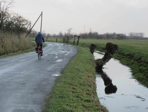 Diese Kopfweiden-Spiegelung wollte ich immer schonmal bei Windstille fotografieren - muss ich nachholen, heute also rubbelig.