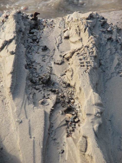 Gelegentlich sind, wie hier in der Aufsicht, auch entstehende Mäander zu beobachten.