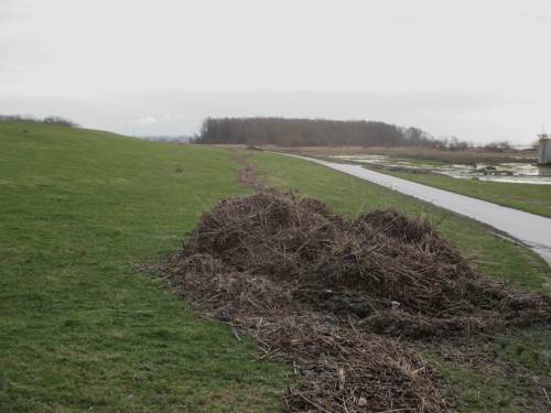 Treibgut der vorigen Sturmfluten wird eingesammelt - die nächste Sturmflut kommt bestimmt.