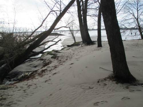 Blick Richtung Elbstrand.