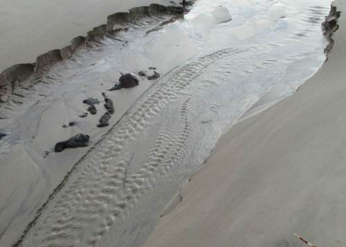 Strömungsstudie im Übergang zum Strand.