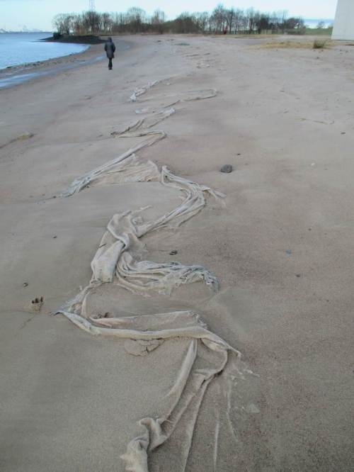 Große Bitte fürs Gewässerrestaurieren: Vlies ist ein NoGo! Dieses - andere - Beispiel zeigt die Zukunft, Abfall flattert (in Wasser und) im Wind.