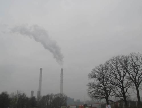 Auf der Grenze HH - SH blicken wir gen Westen. Hier entstehen ein Gewerbegebiet und ein Park neu. Altes, Beseitigungswertes wird verbessert. Was das in Summe für das Großgrün am SH-Elbhang bedeutet, wird später zu belegen sein.
