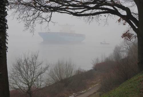 Durch den Winterdies arbeitet sich ein GroßContainerFrachter mit beobachtendem Schlepper elbaufwärts. Die Edith Maersk ist 398 m lang, 56 breit und geht ca. 11 m tief.