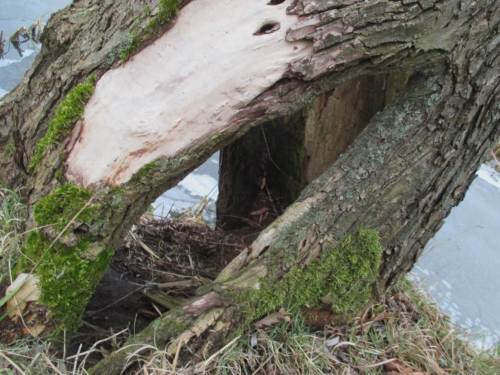 Auch an der Basis, guter Ein- und Ausblick.