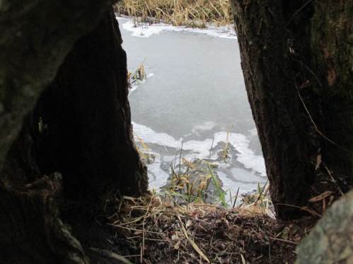 Eingangstür mit Blick aufs - nun gefrorene - Wasser des Marschgrabens.
