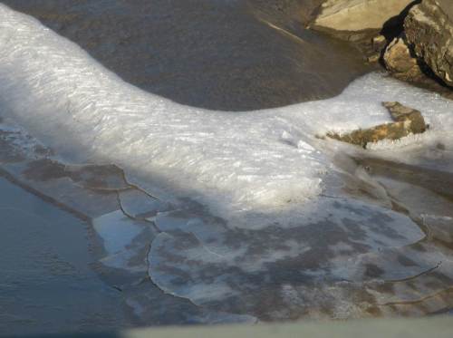 Glitzerndes Eis auf schwarzem Schlickwatt der Hetlinger Binnenelbe.