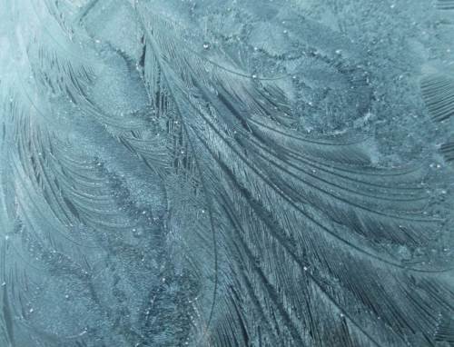 Dank Tiefgarage ist uns solch Kunstwerk auf eigenem Wagen entgangen.