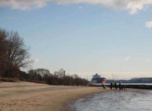 Strand kurz vor Blankenese - die HundeSitterinnen sind auf dem Rückweg. Auch wir kehren um.
