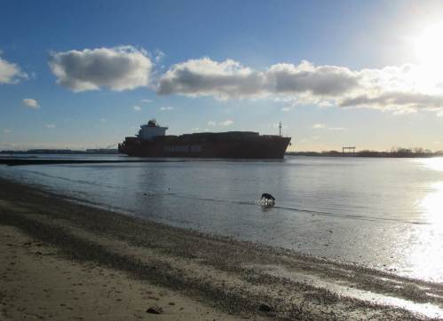 Mit der Fahrrinne dicht vor Land naht ein Containerfrachter.