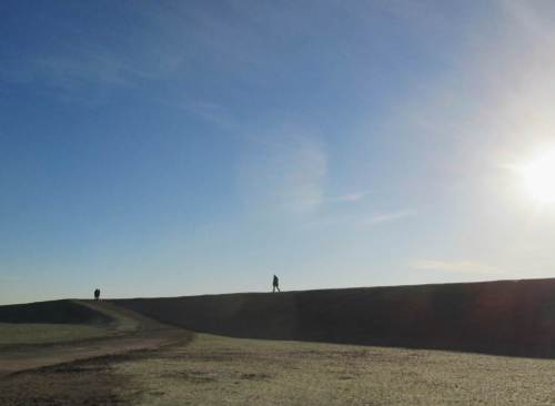Letzter Teil des Rückwegs auf der Deichkrone.