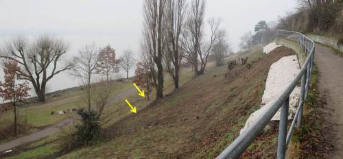 Blick zurück - ganz schön hoch hier, die Moräne. Unten am Hangfuss sehen wir zwei Spülsäume der vorigen beiden (kleineren, normalen) Sturmfluten.