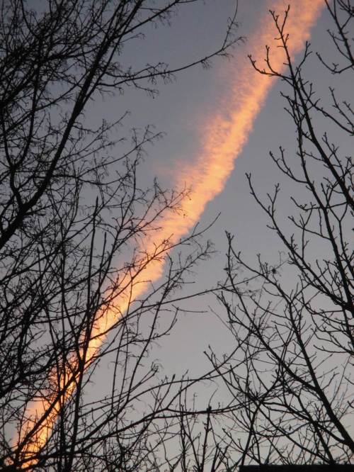 Noch ist die Sonne nicht aufgegangen - erhellter Kondensstreifen hinter Feldahorn.