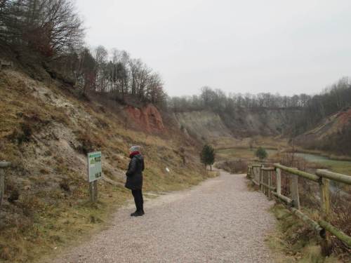 Informative Tafeln erläutern Geologie, Erdgeschichte inkl. Gegenwart mit Tieren und Pflanzen.