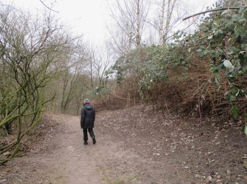 Erholsam - quer zum Wind durchqueren wir einen hochgeschnittenen Brombeer-"Hain" Richtung Auto.