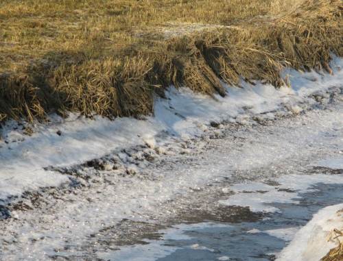 Hier pfeift eisiger Wind über freies Gelände. GlitzerEis blinkt aus den Marschgräben - eingebrochen, wir haben bald Tideniedrigwasser (Tnw).