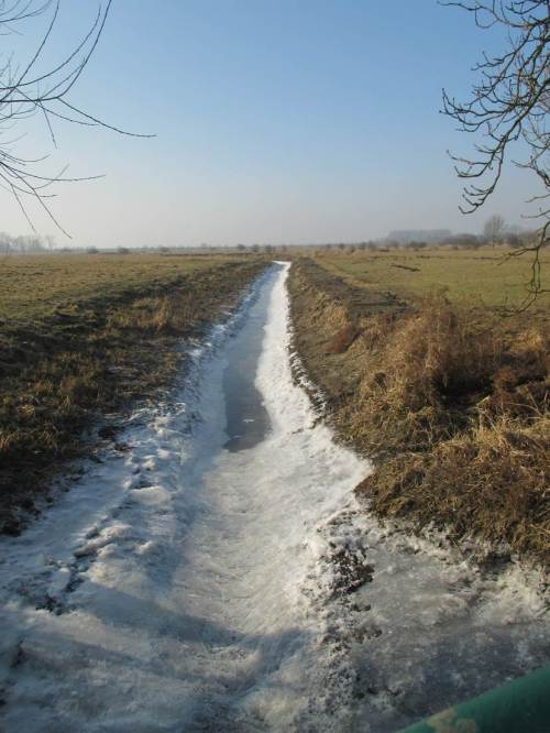 Fisch ist in solch gänzlich ausgebaggerten Marschgräben wohl erstmal nicht zu erwarten.