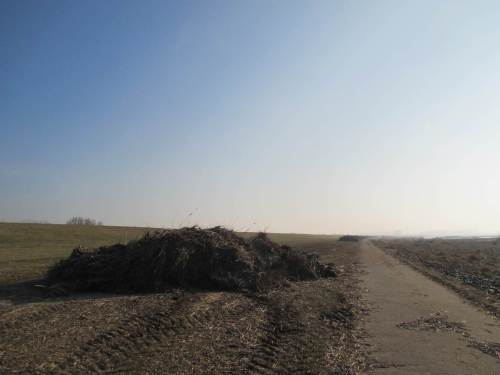 ... und vor dem Abtransport aufzuhäufen.